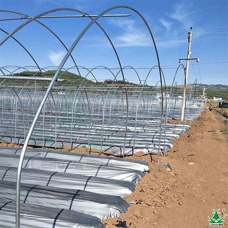 Silver Black Mulch Film factory