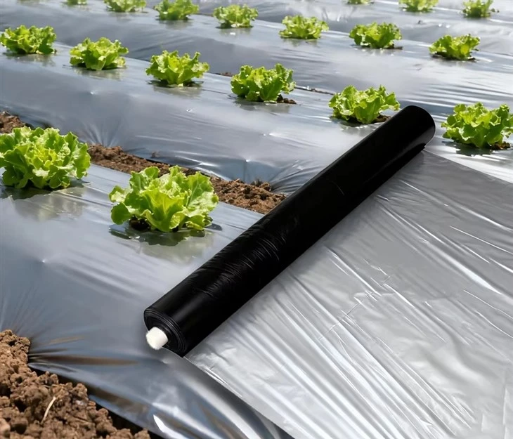 Silver Black Mulch Film